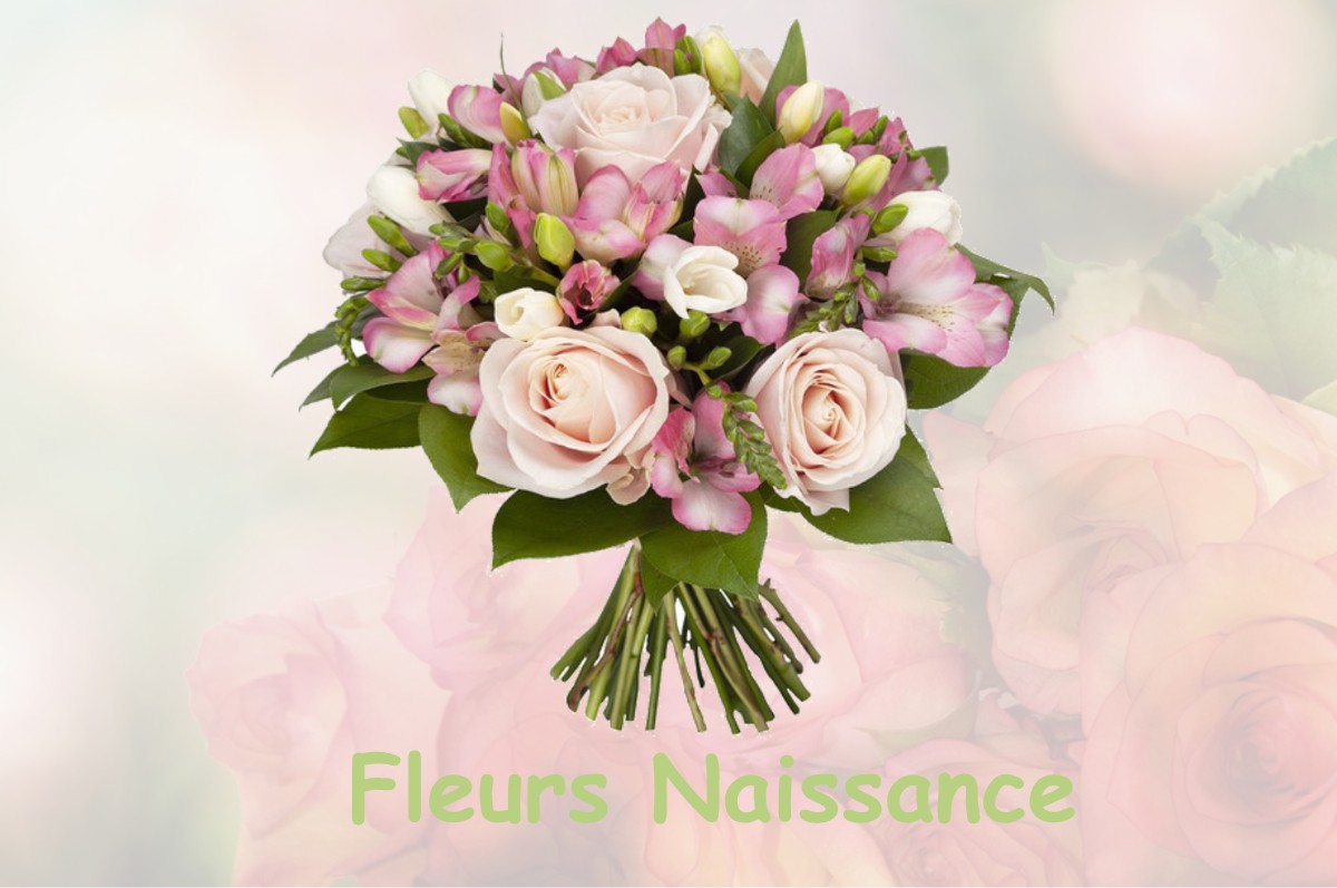 fleurs naissance GIVENCHY-LES-LA-BASSEE